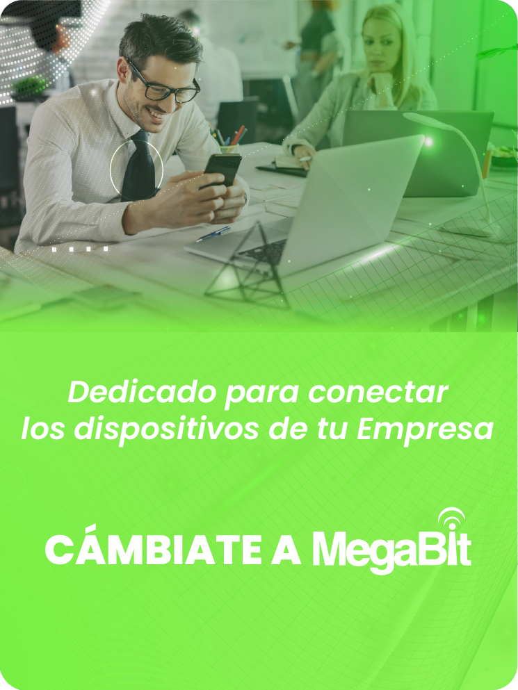 Internet Empresarial